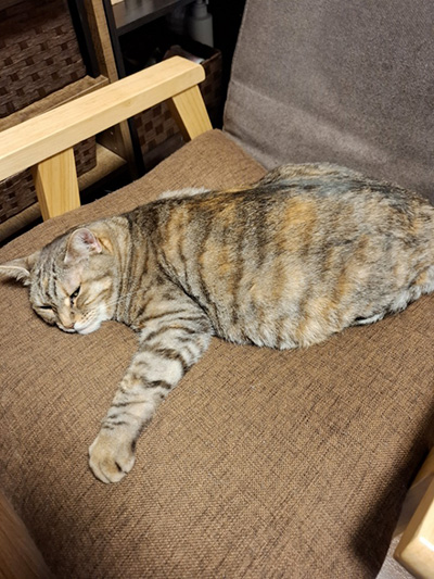 趣味